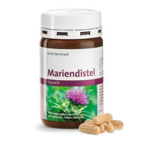 Mariendistel - ΓΑΪΔΟΥΡΑΓΚΑΘΟ