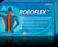 Roboflex - ΡΟΜΠΟΦΛΕΞ